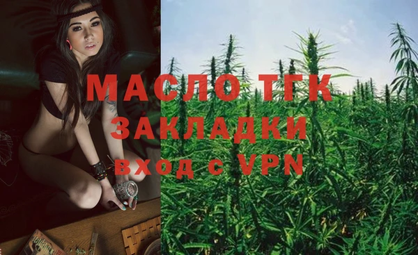 индика Арсеньев