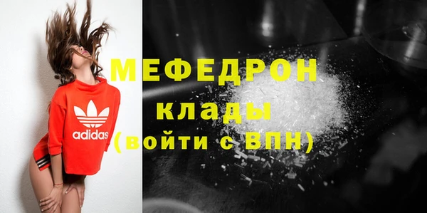 индика Арсеньев
