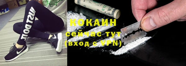 индика Арсеньев