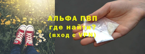 индика Арсеньев