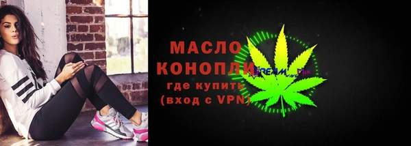 индика Арсеньев