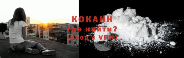 индика Арсеньев