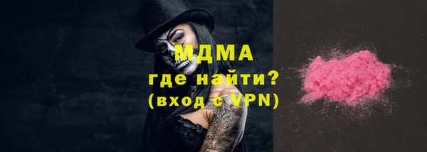 индика Арсеньев