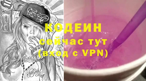 индика Арсеньев