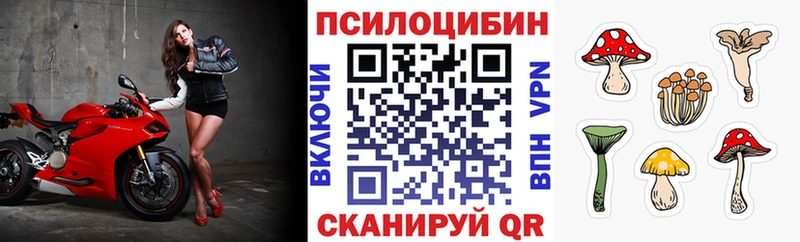 Псилоцибиновые грибы прущие грибы  Купить закладки  Сухиничи 