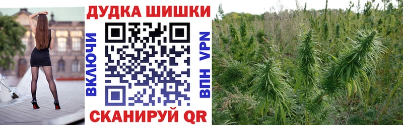 Купить где  Сухиничи  Конопля MAZAR 